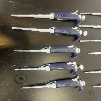 Gilson Pipetman Single Channel Pipettes - Quantity 11 image 0
